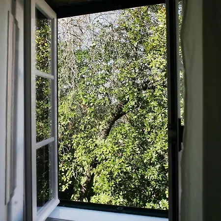 The Point - 2 Sintra