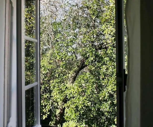 The Point - 2 Sintra